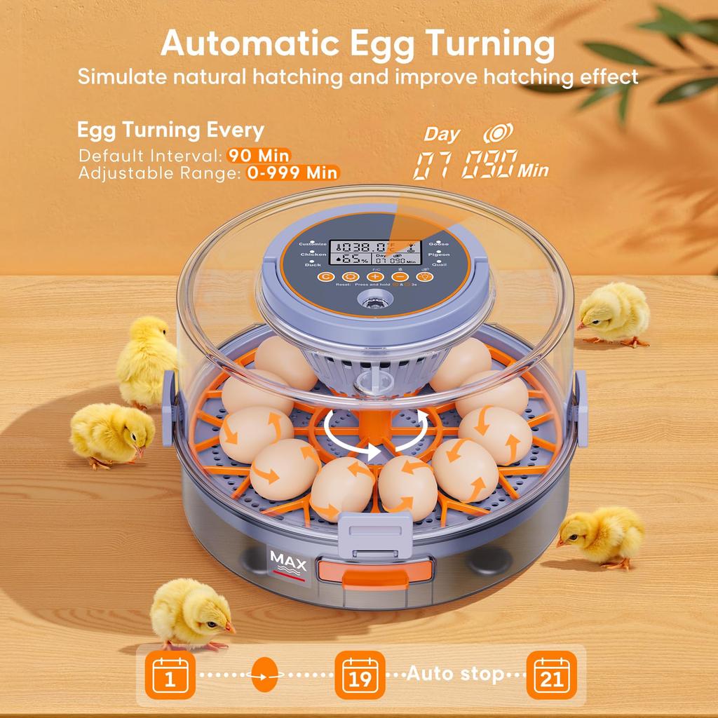 Egg Incubator with Automatic Egg Turning and Humidity Control, Intelligent Egg Incubator with Automatic Temp. Adjustment, 12 Egg