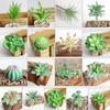 Artifical Plastic Succulent Plant Cactus Echeveria Flower Home Office Decor Gift