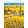 Пазл Life Sunflower Plain Jigsaw Puzzle PL707, 500 деталей, разные цвета, 500 деталей