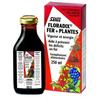 Salus Toniques Floradix Fer + Plantes 250ml