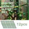 12Pcs Outdoor Plastic Plant Fixed Support Rod Vegetable Growing Bracket for Climbing Fruits