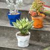 Flowerpot Durable Stable Decorative Breathable Succulents Nursery Garden Planter with Tray for Home