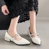 2025 New  French Pointed Toe Mary Jane Single Shoes Women's 2025 Fall New Shallow Mouth Block Heel Pump Shoes