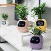 Intelligent Lazy Automatic Water Absorbing Flowerpot Plastic Resin Circular Usb Rechargeable Indoor Plant Small Flowerpot YLE22