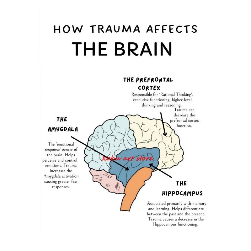 The Human Nervous System Human Brain Anatomy Brain Function Poster Print Wall Art Canvas Painting for Therapy Office Decor