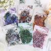 30pcs/pack PET Plants Flowers Stickers DIY Scrapbooking Planner Collage Diary Supplies Aesthetics Sticker Stationery