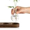 Bud Vases Hydroponics Glass Vase with Wooden Tray Bulb Vase  Home Decoration