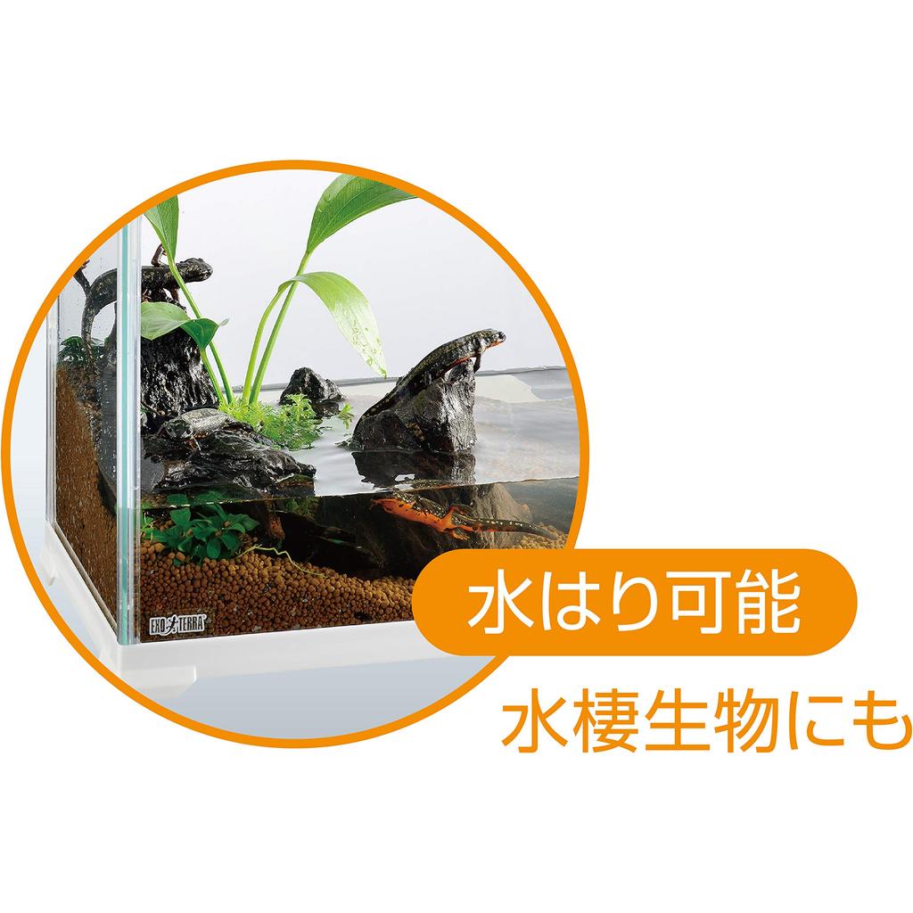 EXOTERRA GEX EXOTERRA Reptile White 300 Низкая маленькая стеклянная клетка для рептилий с белой рамкой x D20 x Клетка для разведения Ш31,6 В19,2 см Рептилии/Амфибии