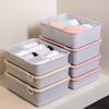 Household Bedroom Closet Underwear Organizer with Lid Wardrobe Cabinets Socks Bra Drawer Storage Divider Boxes Container