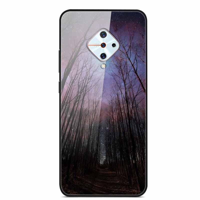 Tempered Glass Case For Vivo V17 Case Russia Glass Back Cover Soft Bumper For Vivo V17 Phone Cases V 17 Funda Y9s S1 Pro Coque