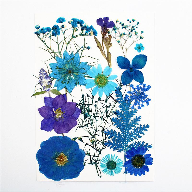 1 сумка, сушеные цветы, УФ-смола, наполнитель, сделай сам, форма для эпоксидной смолы, кулон, ювелирные изделия, декоративные натуральные прессованные цветы, художественный цветочный декор XYZ