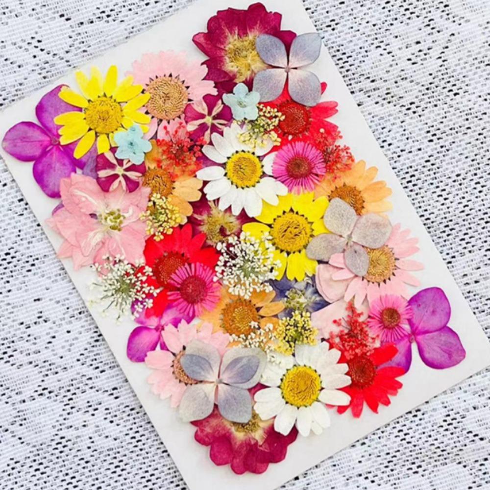 Natural Herbs Kit Dried Pressed Flowers Real Pressed Flowers Dry Leaves Bulk for Scrapbooking DIY Art Crafts Epoxy Jewelry Molds Soap Making