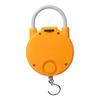 Electronic High Precision Metal Weight Scale Hanging Scale With Hook Kitchen Scale Spring Scale