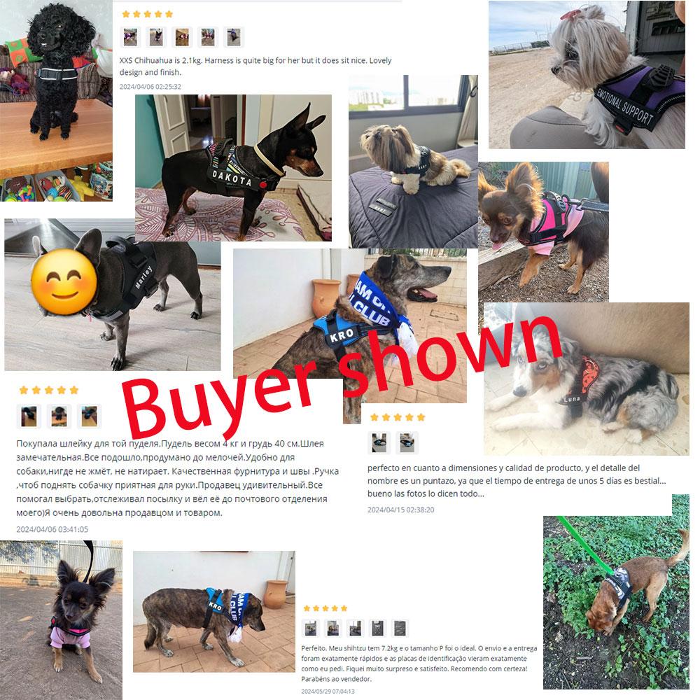 Милый ошейник-шлейка для щенка и котенка, светоотражающая шлейка-жилет для маленькой собаки, для прогулок на улице, защита от потери, корги, лабрадор, чихуахуа