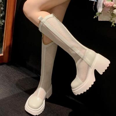 Женские классные ботинки на платформе 2024 года, летние новые гладиаторские ботинки на молнии из сетчатого материала с дышащим средним каблуком, модные ботинки с большим цилиндром и высоким верхом