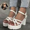New Summer Fashion Women Platform Sandals Thick Sole Super High Heel Roman Shoes