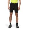 Regatta Mens Mountain II Shorts