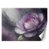 Wallpaper Peony Abstract Flower