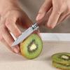 Fruit Knife Stainless Steel Folding Knife Household Portable Pocket Knife Wooden Handle Perfect for Kitchen Fruit Cutting Knife
