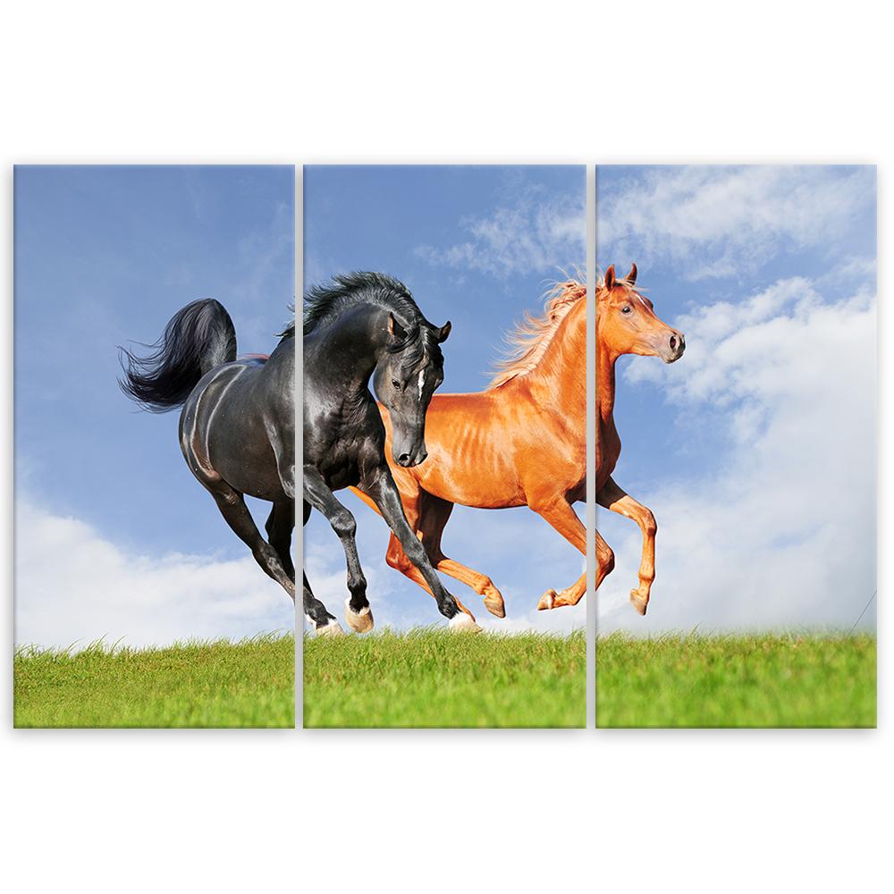 Three Piece Picture Canvas Print Galloping Horses