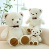 New Teddy Bear Plush Toy Creative Cute Hug Bear Doll Toy Girl Birthday Gift