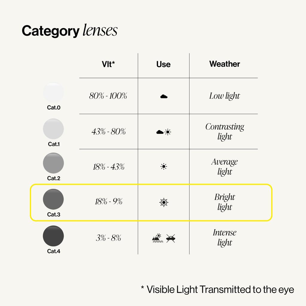 Izipij Sunglasses Tortoise Men's #D