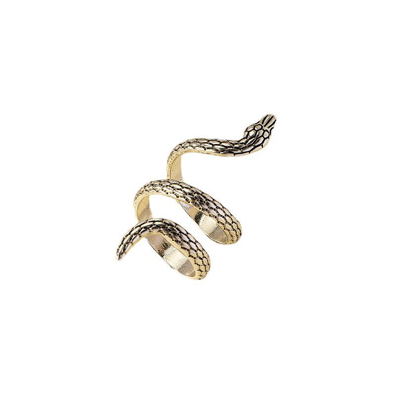 Exaggerated Retro Zodiac Snake Ring: Unisex Hip-Hop Street Style