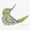 Beak Cockatiel Bird Iron On Heat Transfer Printing Vinyl Patches Sticker for Clothes DIY Appliques Washable Patches