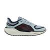Air Zoom Pegasus 41 Gore-Tex Светлый пемзовый Бордовый раздавленный