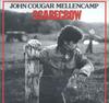 LP Пластинка JOHN COUGAR MELLENCAMP - Scarecrow 0602448034908 Mercury 2022 Всемирный Рок