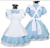 Sky Blue Alice In Wonderland Cosplay Maid Outfit Costume