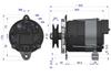 Alternator Mtz 100A Expom Kwidzyn Eu