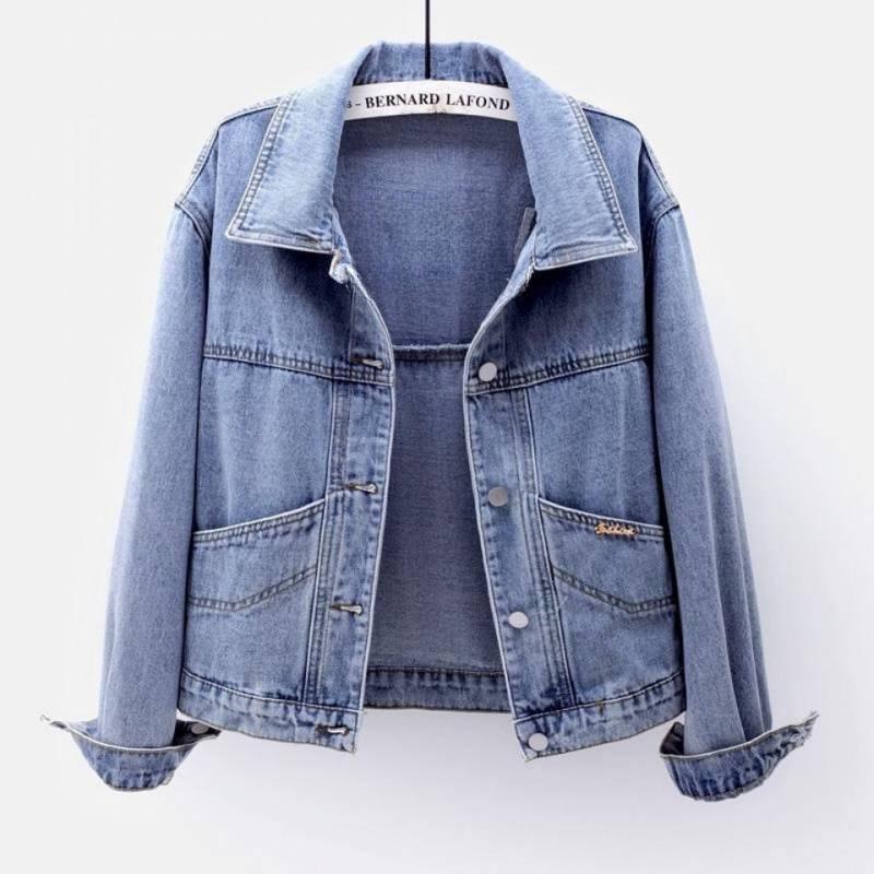 Women's Spring 2024 Embroidered Light Denim Jacket - Korean Style, Short, Loose, Slim Fit, All-Match