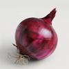250 Red Onion Seeds