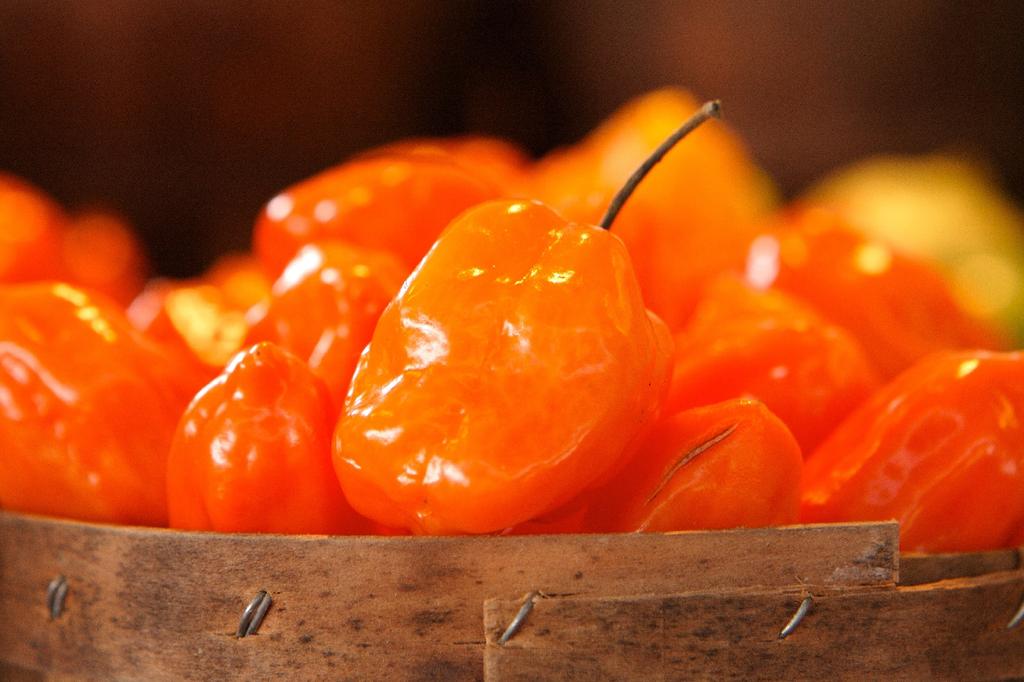 SAFLAX Garden in the Bag - Органический - Острый перец чили - Апельсин Хабанеро - 20 семян - С субстратом в подходящем стоячем пакете - Capsicum annuum