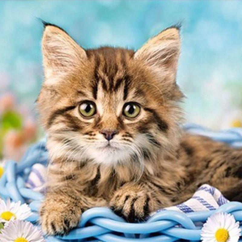 Наборы алмазной вышивки 5D