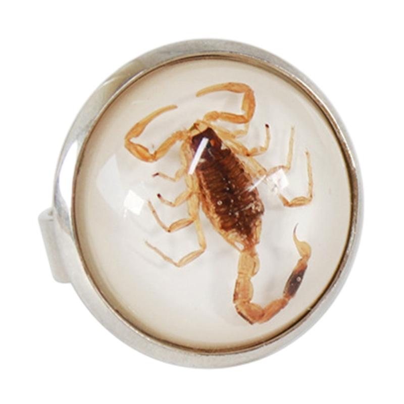 Стильные круглые кольца-скорпионы, регулируемые кольца с открытым дизайном, смоляное statement-украшение, уникальные кольца на палец, модный подарок для пары