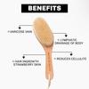 HOUSE OF BEAUTY Wooden Dry Body Brush For Body Massage With Long Handcrafted Handle, Natural Exfoliating, Lymphatic Drainage - (Pack OF 1)
