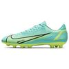 Mercurial Vapor 14 Academy HG Soccer Shoes Men Soccer Shoes Blue Green CV0970-403