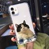 Забавный Милый Мультяшный Кот Прозрачный Чехол для Телефона для IPhone 13 15 12 11 14 Pro Max 13 12Mini X XS XR SE 14 Plus Чехол Оболочка Fundas