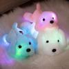 LED Glowing Stuffed Doll Soft Plush Fabric Light Up Toy Cute LED Plush  Girls