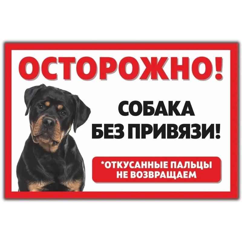 Смешная предупреждающая табличка о бродячей собаке, юмористическая табличка на забор