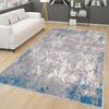 Digital Printing Washable Non-Slip Floor Living Room Carpet RVG0265