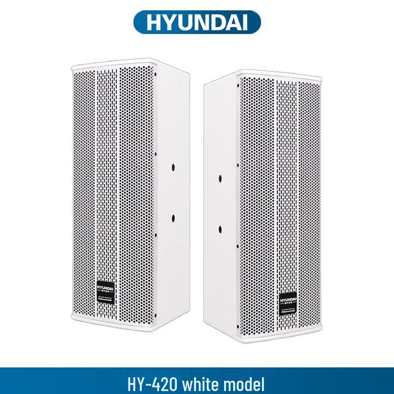 Hyundai HY-420 Active Speaker CN plug (adapter included)