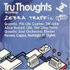 CD РАЗНЫЕ ИСПОЛНИТЕЛИ - Tru Thoughts / Zebra Traffic Sample TRUZEB001 Tru Thoughts, Z 2004 UK Танцевальная и Электронная Музыка Б/У