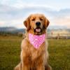 День святого Валентина Одежда для домашних животных Шарф для воды Love Pet Шарф для собак Аксессуары для домашних животных Шарф для собак