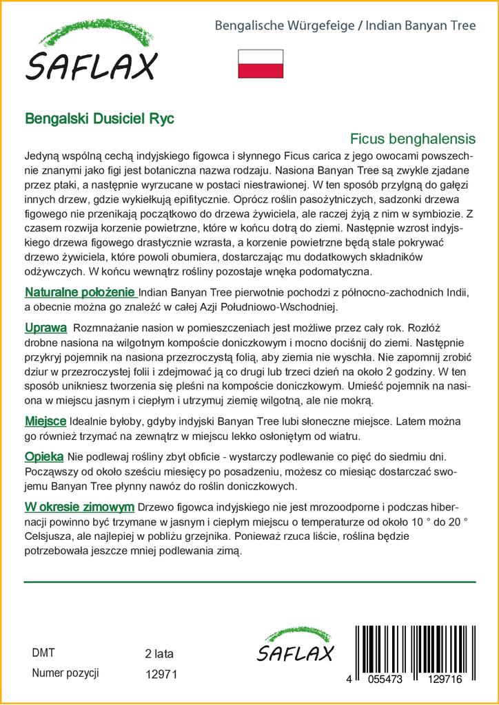 SAFLAX Индийский баньян - 20 семян - Ficus benghalensis
