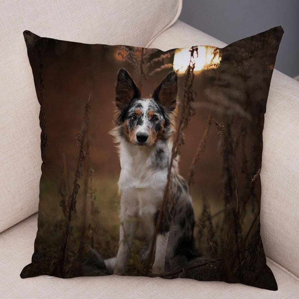 Милый питомец животное собака принт наволочка шотландский бордер колли подушка чехол диван украшение для автомобиля