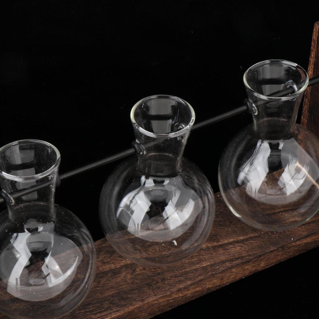 Hydroponics Plant Holder with 3 Bulb Vases Wall Mountable Wood Frame Propagating Station for