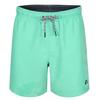 RIPT Essentials Mens Swim Shorts